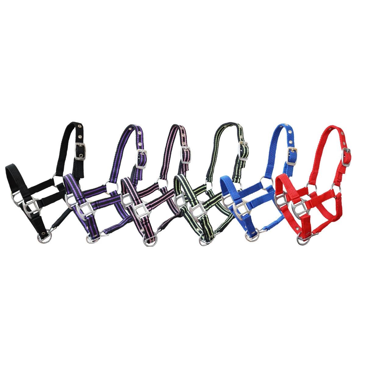 GR Licol Miniline - SHOPHORSE